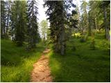 Rifugio Rio Gere - Rifugio Tondi